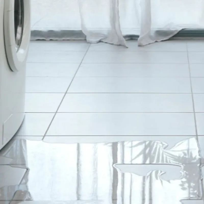 Appliance Leak Cleanup in Seymour, TX