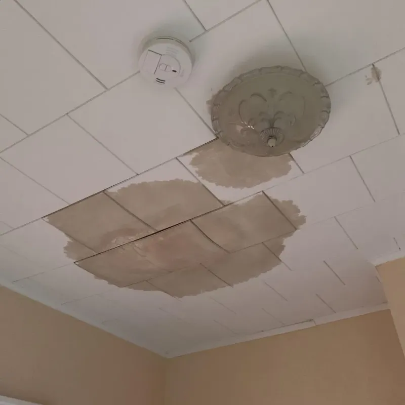 Ceiling Water Damage Repair in Seymour, TX
