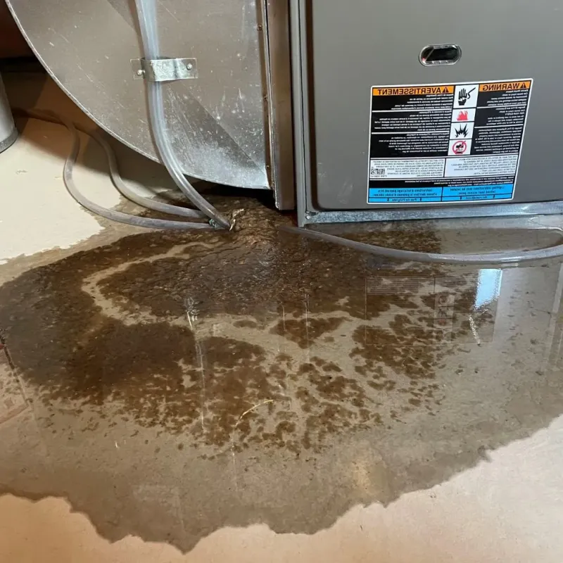 Pipe Burst and Leak Restoration in Seymour, TX