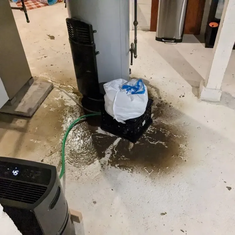 Sewage Backup Cleanup Service in Seymour, TX